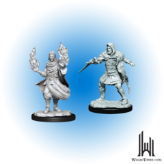 Critical Role Unpainted Miniatures: Hollow One Rogue / Sorcerer Male